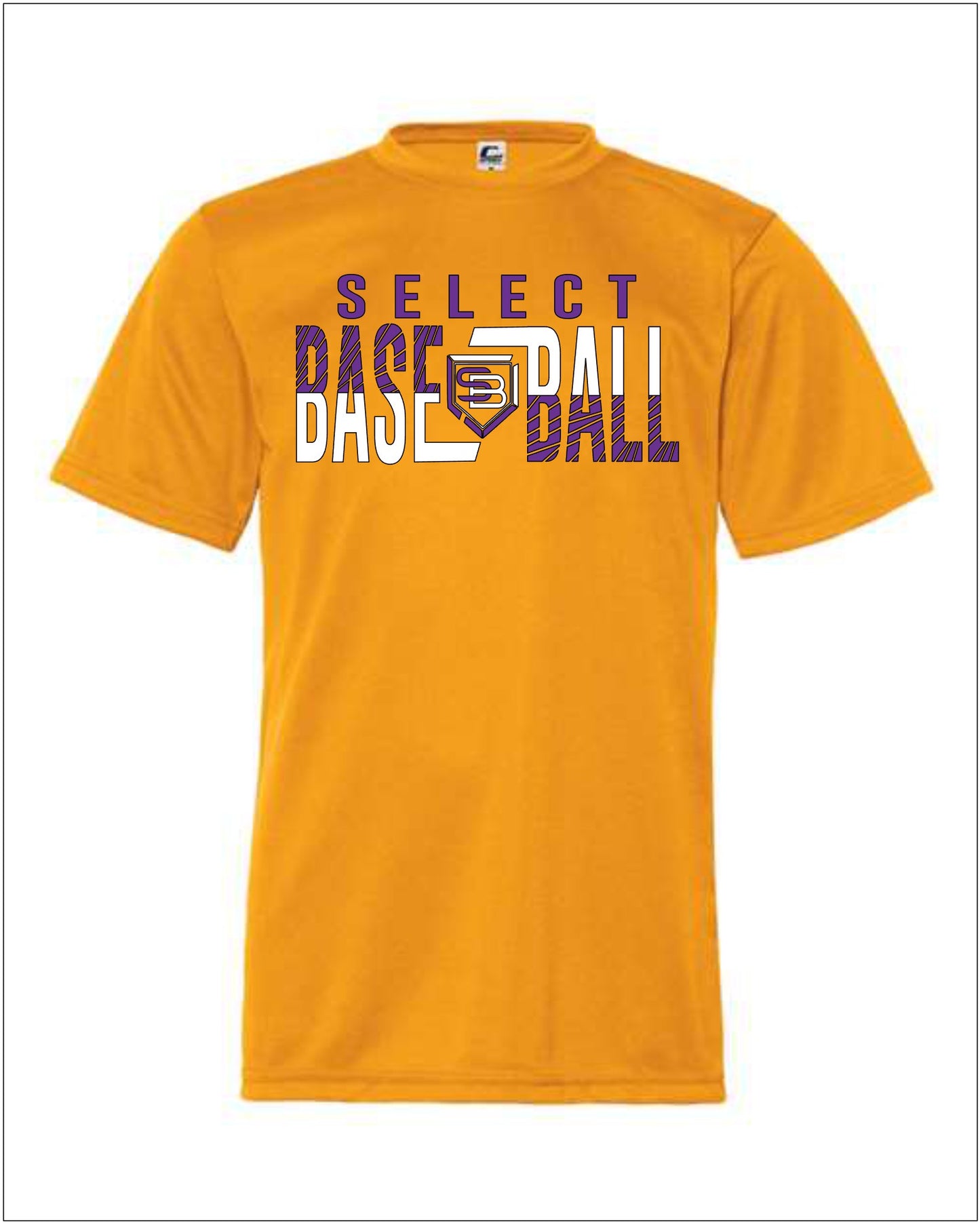 Select Baseball 1