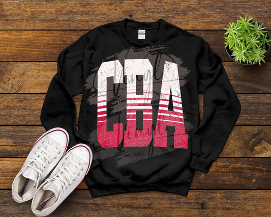 CBA or STICKS Linear Stretch Sweatshirt
