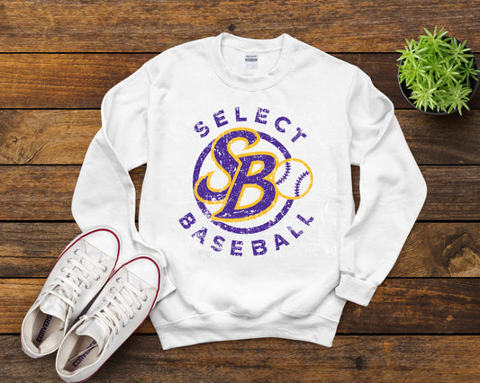 Select Baseball 13